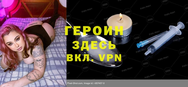 дмт Богданович