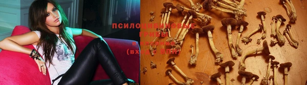 мяу мяу кристалл Бородино