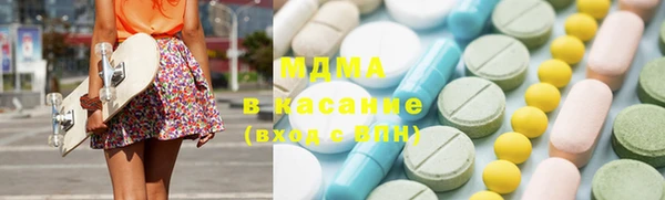 дмт Богданович