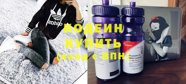 дмт Богданович