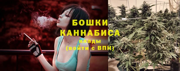 мяу мяу кристалл Бородино