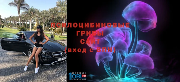 дмт Богданович