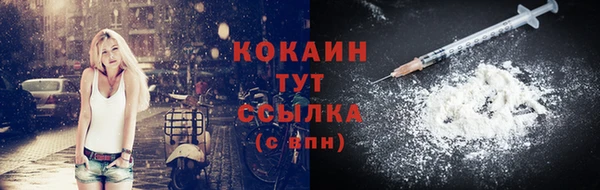 дмт Богданович