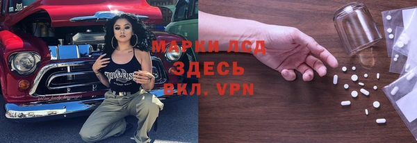 дмт Богданович