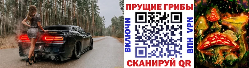 магазин продажи Горно-Алтайск mega как зайти Псилоцибиновые грибы мухоморы