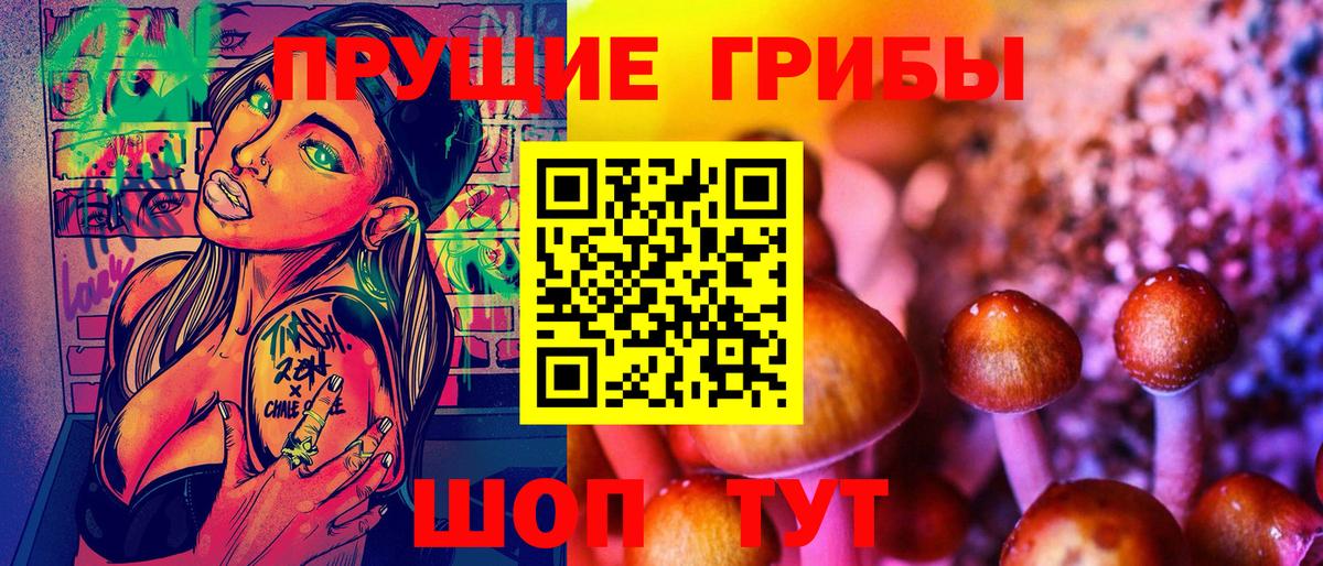 Псилоцибиновые грибы мухоморы Горно-Алтайск