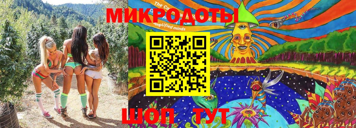 Псилоцибиновые грибы Psilocybine cubensis  Горно-Алтайск  Псилоцибиновые грибы Cubensis 